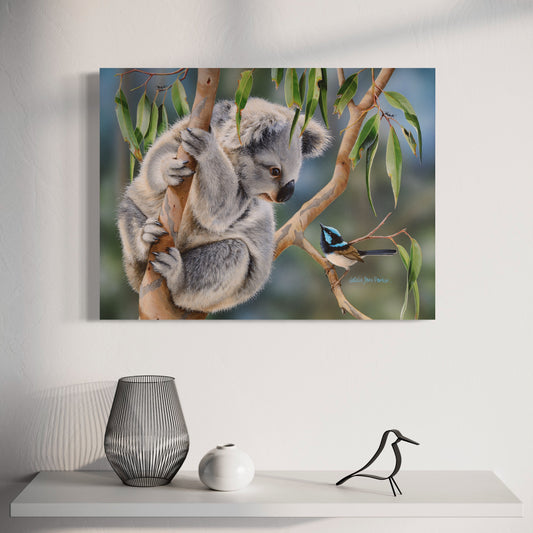 Koala and Superb Fairy-wren (blue wren) - Titled "Aussie Greeting"