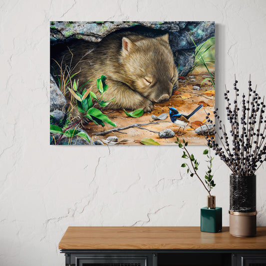 Bare-nosed Wombat & Male Superb Fairy-wren - Titled "Deep Sleeper"