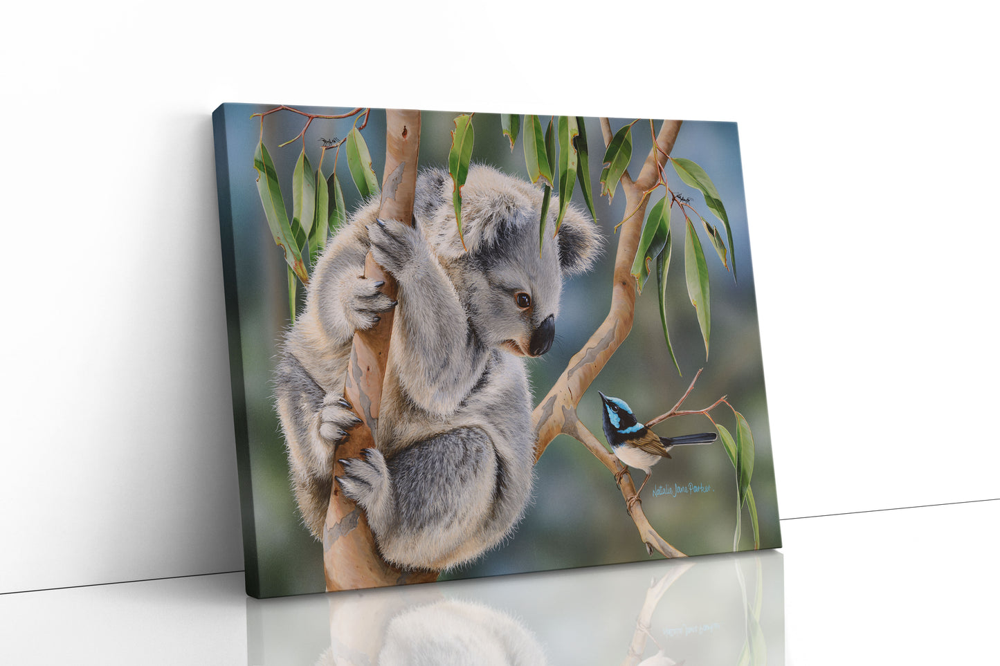 Koala and Superb Fairy-wren (blue wren) - Titled "Aussie Greeting"