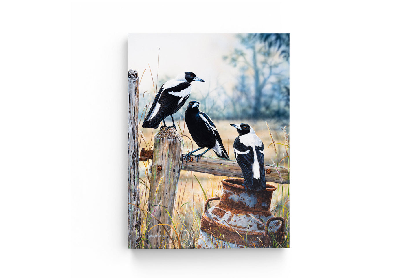 Australian Magpies on Milk Can - Titled "Country Lifestyle"