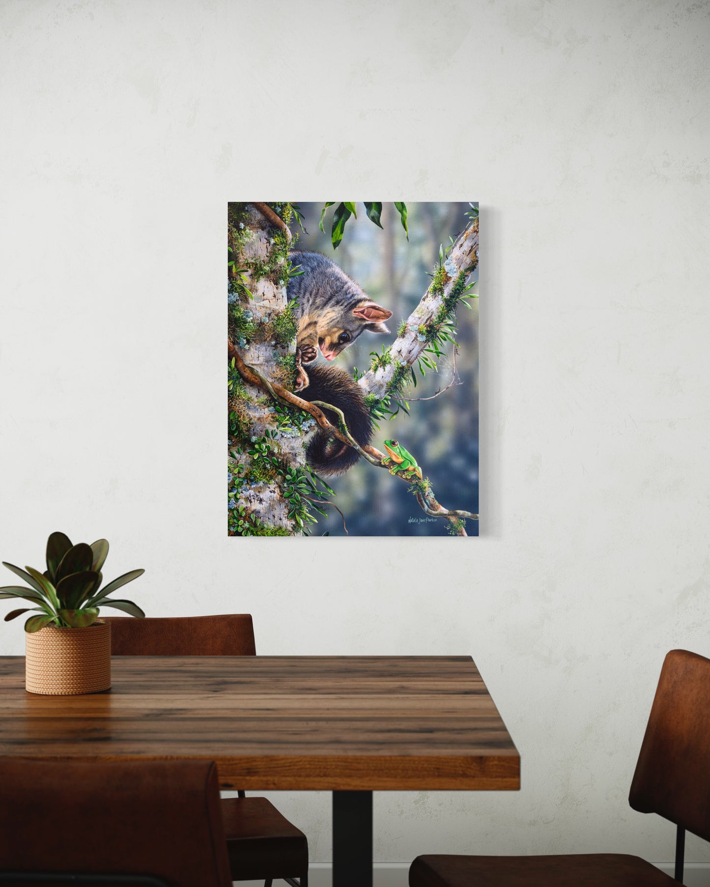 Common Brushtail Possums and a Red-eyed Tree Frog - Titled "Curious"