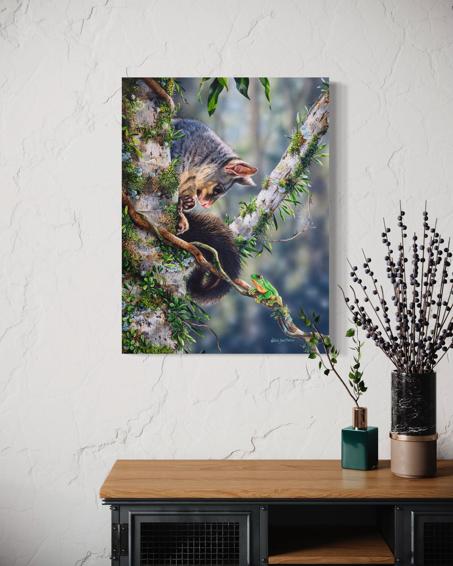 Common Brushtail Possums and a Red-eyed Tree Frog - Titled "Curious"