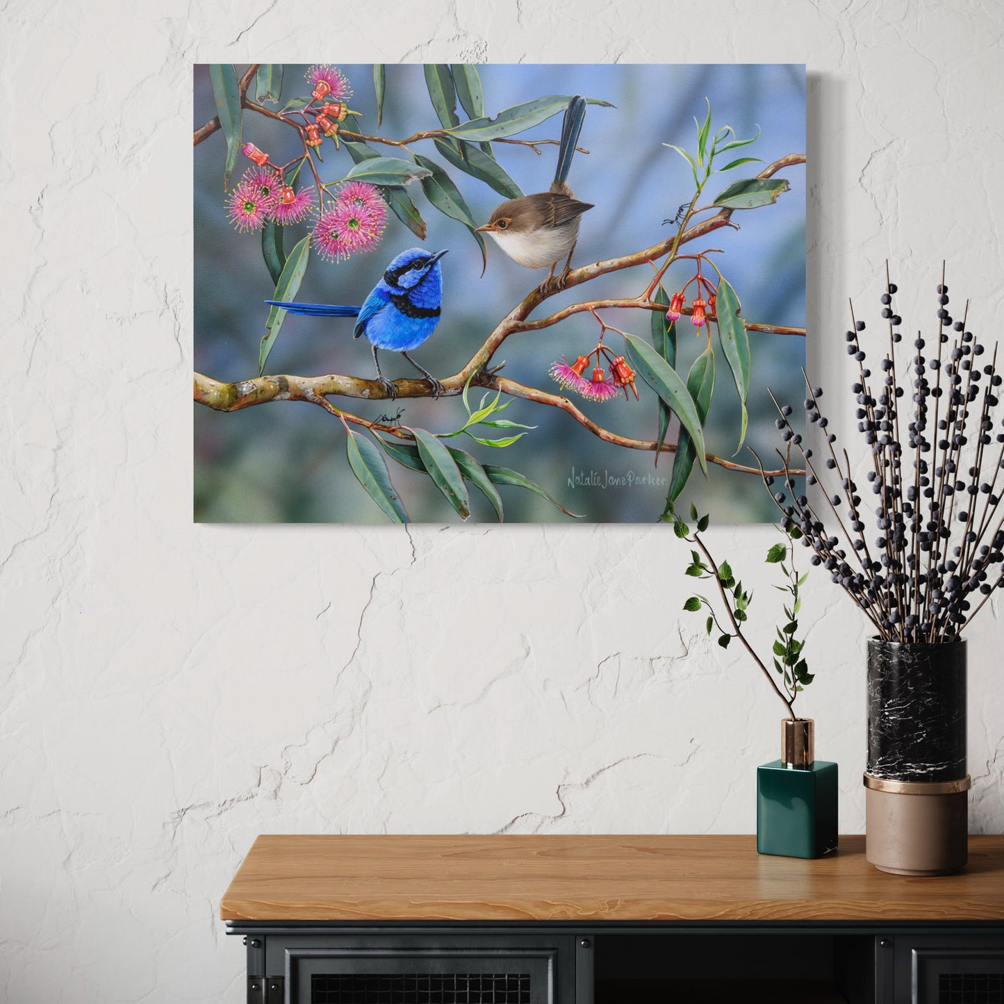 Splendid Fairy-wren (blue wren) - Titled "Coral Gum Attraction"