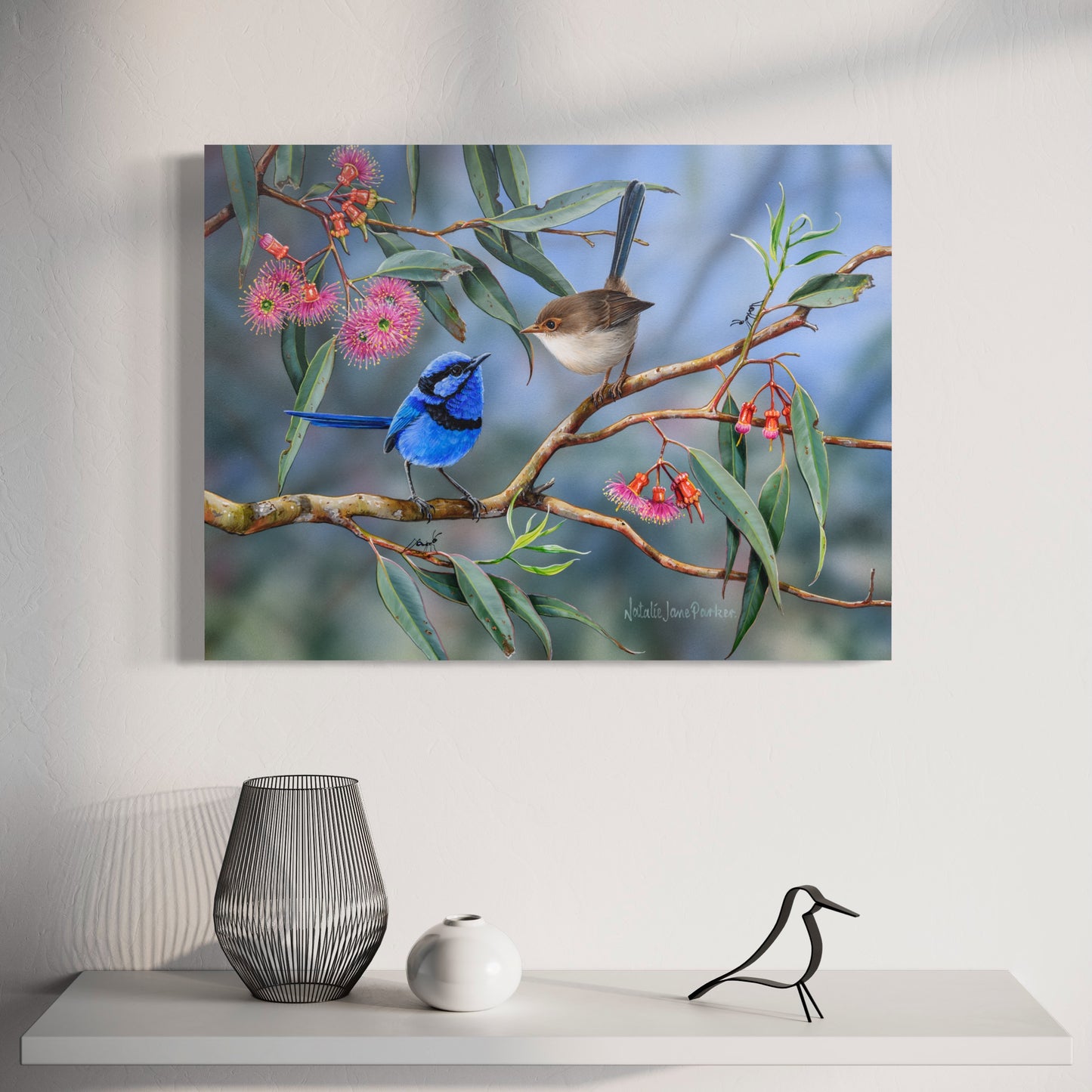 Splendid Fairy-wren (blue wren) - Titled "Coral Gum Attraction"