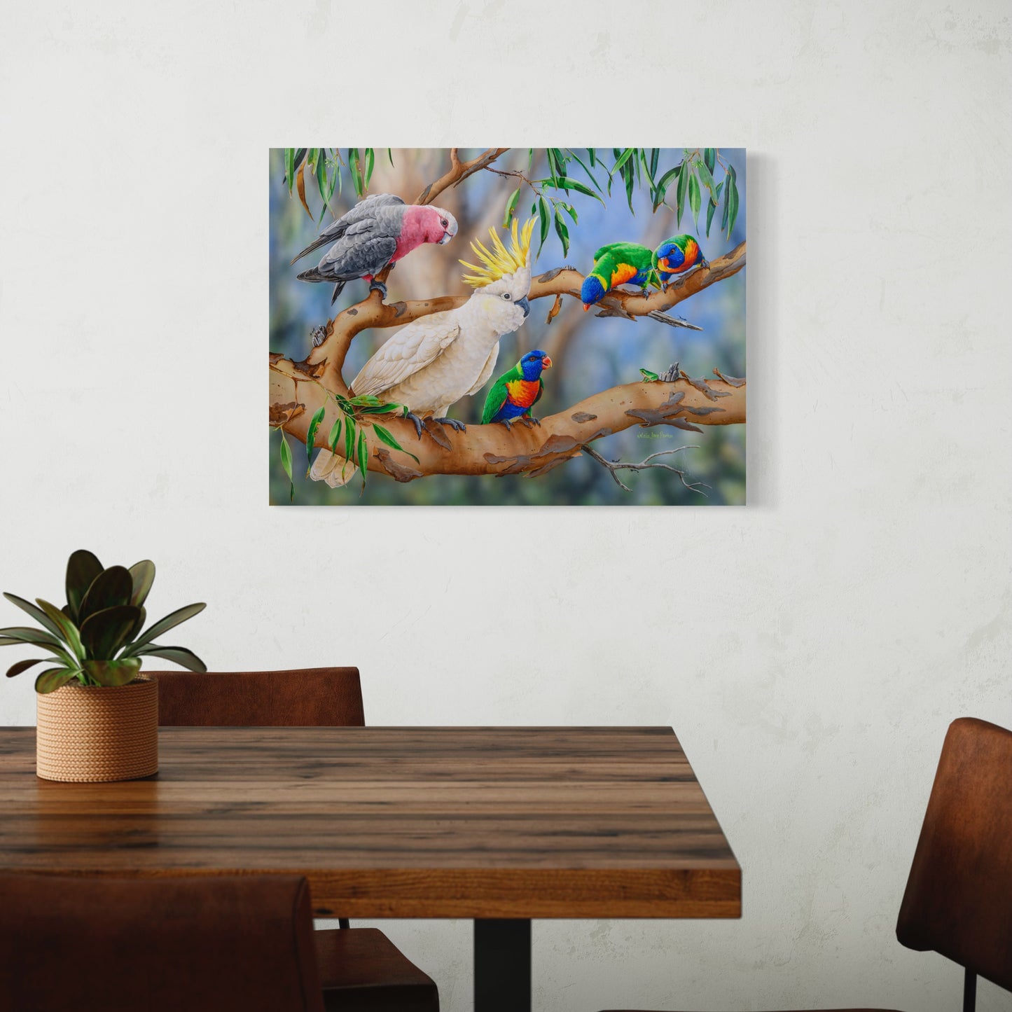 Galahs with Sulphur-crested Cockatoo, Rainbow Lorikeets and Eastern Dwarf Tree Frog - Titled "Colourful Crowd"