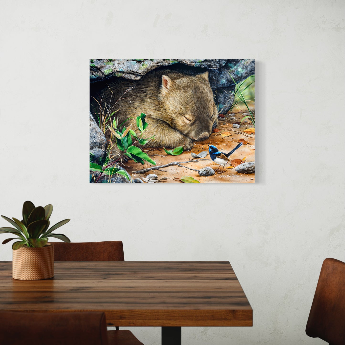 Bare-nosed Wombat & Male Superb Fairy-wren - Titled "Deep Sleeper"