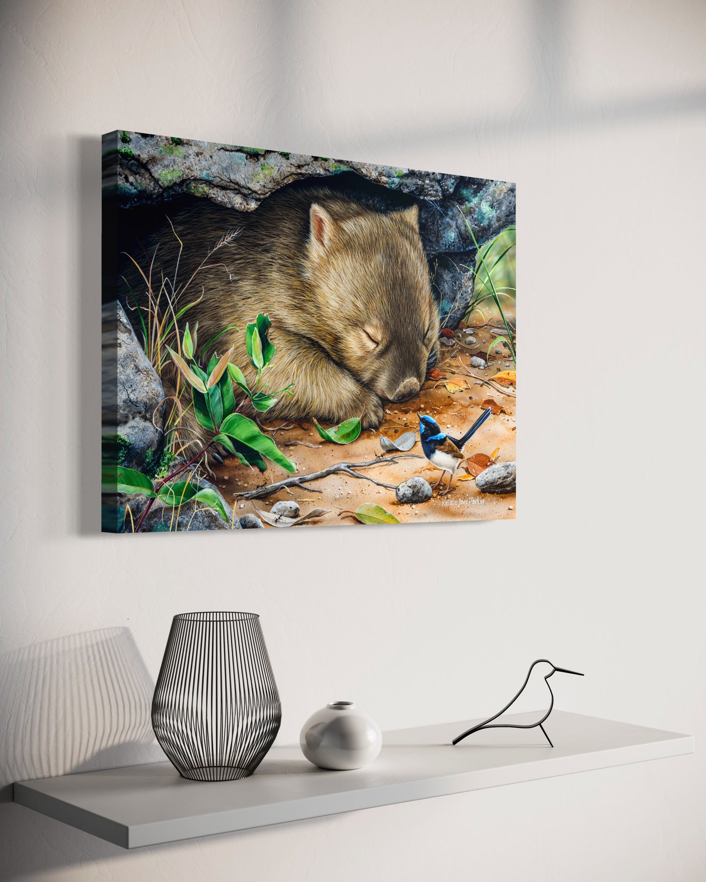 Bare-nosed Wombat & Male Superb Fairy-wren - Titled "Deep Sleeper"