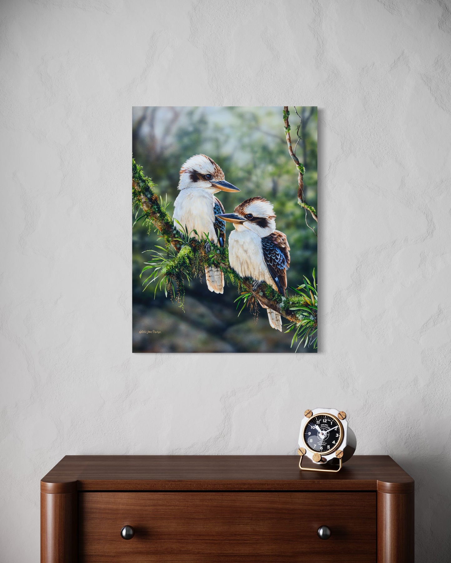 Rainforest Glow - Laughing Kookaburras (Dacelo novaeguineae)