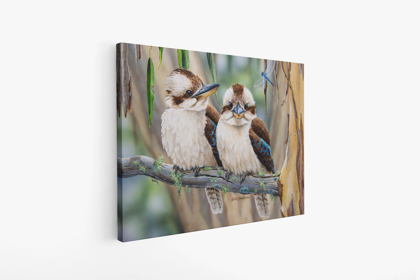 Laughing Kookaburras - Titled "Life Among the Gum Trees"